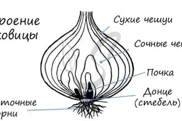 Пополнить кошелек кракен